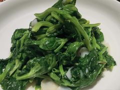 清炒豌豆尖-106餐厅北京菜.烤鸭(百子湾店)