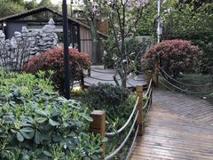 -二荆条·蜀鲜汇城市森林火锅