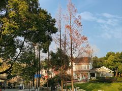 -J Create城市露营咖啡·简餐·宠物(上海动物园店)