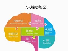 -金色雨林感统训练·专注力·语言认知·心理沙盘(天通苑校区)