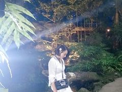 -绿光森林餐厅