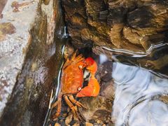 -三门江国家森林公园