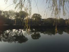 -蠡湖大桥公园