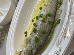 -水岸扬泰·东台鱼汤面(锦延路店)