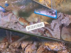 -范饭椰林川湘味海鲜·椰子鸡(三亚湾椰梦长廊店)