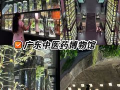 -广东中医药博物馆