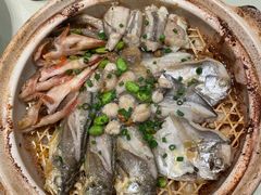 -高佳庄·舟山海鲜(海景旗舰店)