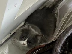 -萌兽医馆·犬猫专科·眼科中心·宠物医院(朝阳门分院)