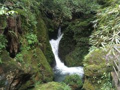 -龙苍沟森林公园