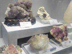 -湖南省地质博物馆