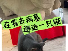 -茂陵博物馆