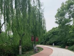 -南翠屏公园