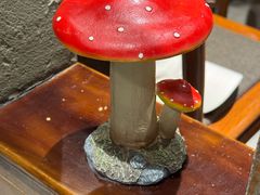 -菌彩云南野生菌火锅(新亚洲店)