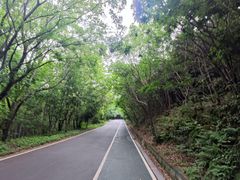 -惠山国家森林公园