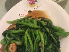 蒜蓉广东菜心-亢龙太子酒轩(东湖店)