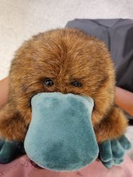 -Nuzzle(静安大悦城店)