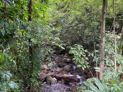-深圳仙湖植物园