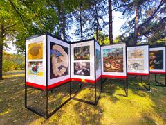 -国家植物园南园