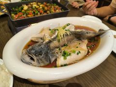 清蒸海鲈鱼-HOHO餐厅(古子城店)