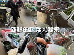 -何庄子阿米玛玛农产品批发市场