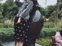 -成飞公园