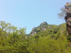 -牛背梁国家森林公园