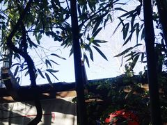 -春晖园度假酒店温泉