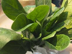 -王家渡火锅店(棕榈泉店)