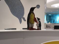 -帝企鹅自助餐厅•儿童岛•真企鹅(长隆企鹅酒店)