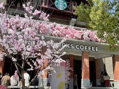-星巴克臻选(思南公馆店)