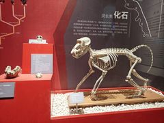 -国家自然博物馆