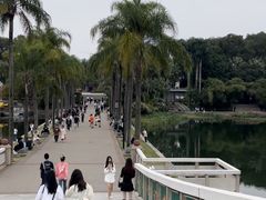 -南宁南湖公园