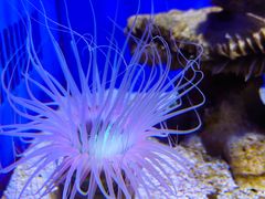 -青岛海底世界-水族馆