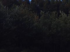 -青岛第三海水浴场