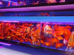 -西宁市人民公园(城西区)