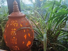 -粘芭喃腊云南的菜