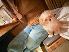 -牛道·和牛九食(市府恒隆广场店)