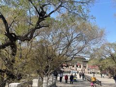 -北陵公园