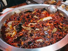 -耗儿鱼蛙蛙叫·老成都火锅(蛇口海昌街店)