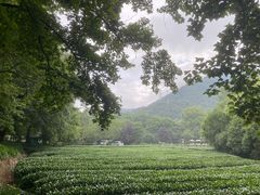 -拾溪餐厅·包厢(杭州千禧度假酒店)