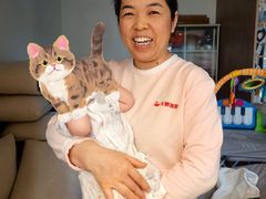 -天鹅到家·保姆月嫂育儿嫂(总店)