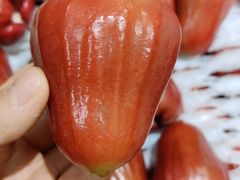 -鲜果屋(海口美兰机场店)