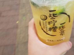 -一些柠檬一些茶(西村店)