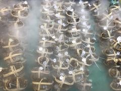 -7fresh七鲜(大族广场店)