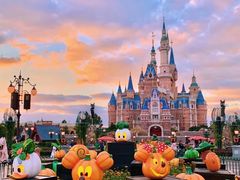 -上海迪士尼度假区