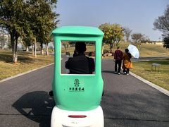 -盘龙城国家考古遗址公园