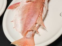 -吴记富苑(朝阳店)