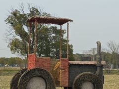 -嘉北郊野公园