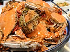 -半岛听涛蒸汽海鲜自助(K11店)