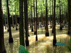 -捞渔河湿地公园